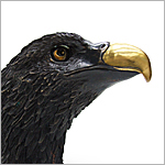 Bronze eagle Bust -  Click for more information